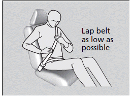 Seat Belts