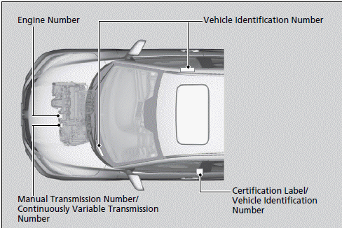 Identification Numbers